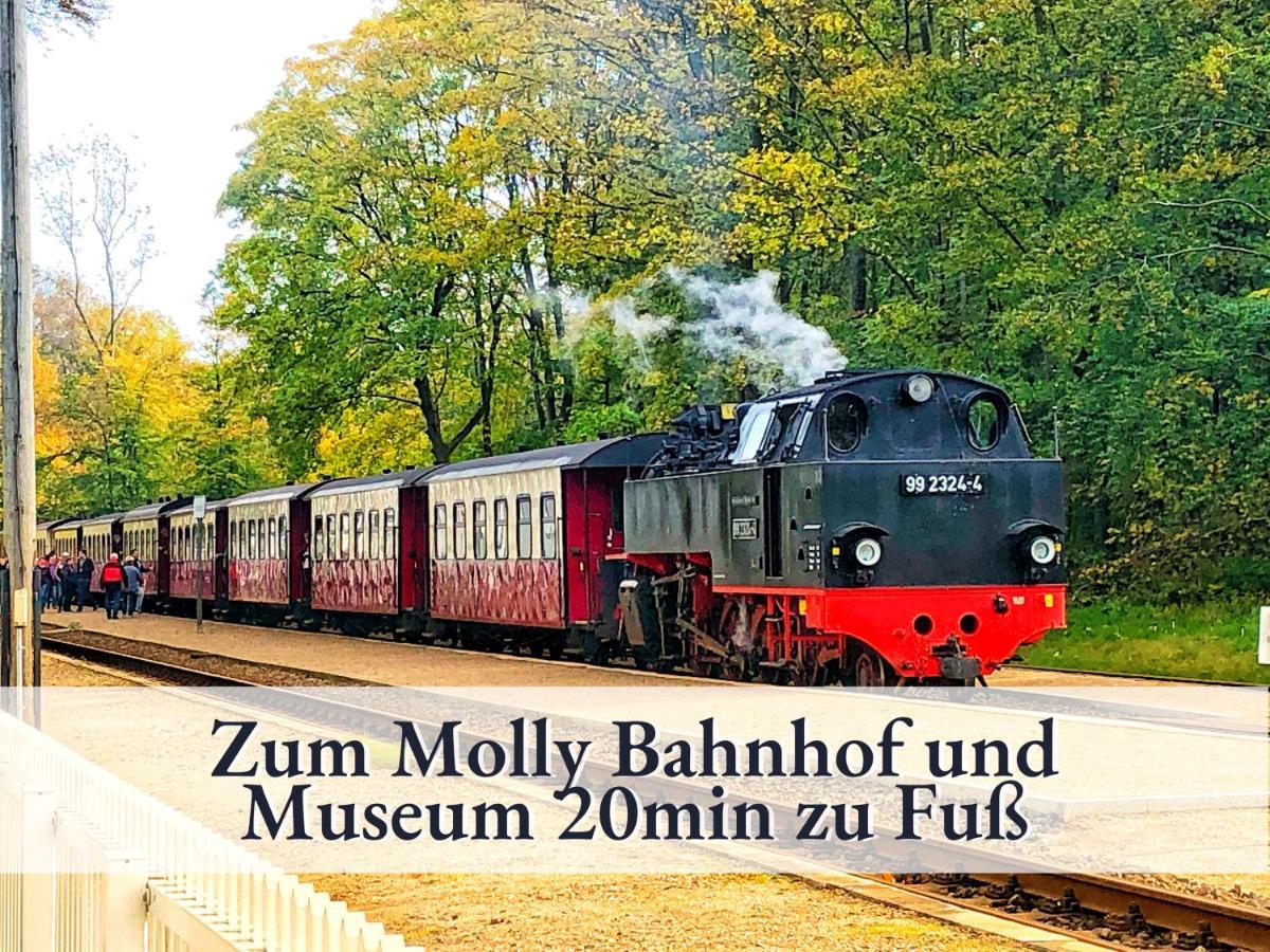 3 Zimmer App Duenengarten Fewo 58 Kuehlungsborn Ngoại thất bức ảnh